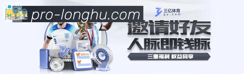 未来规划